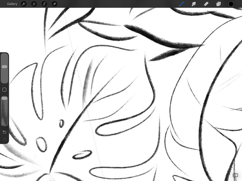 Procreate screenshot of a loose black pencil sketch of monstera and palm leaves used to develop the Jungle pattern